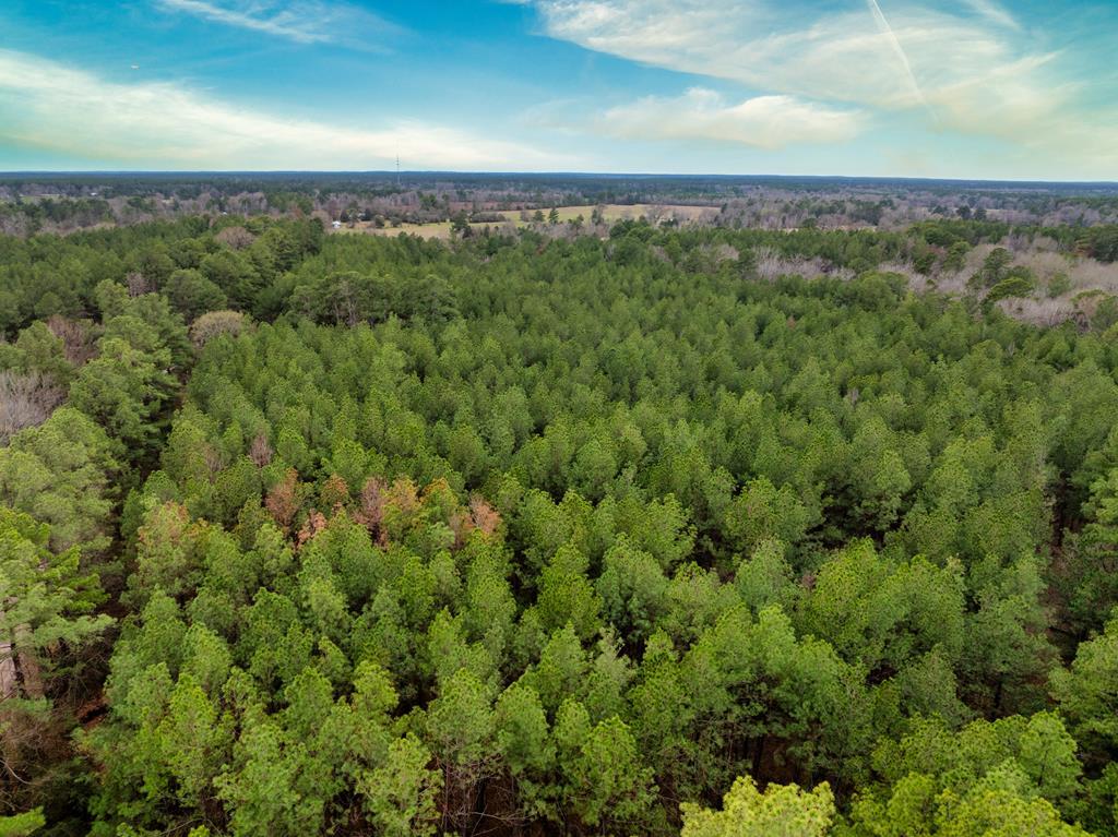 A0181 S Scrub Creek Rd Groveton TX 75845 Yeary Real Estate