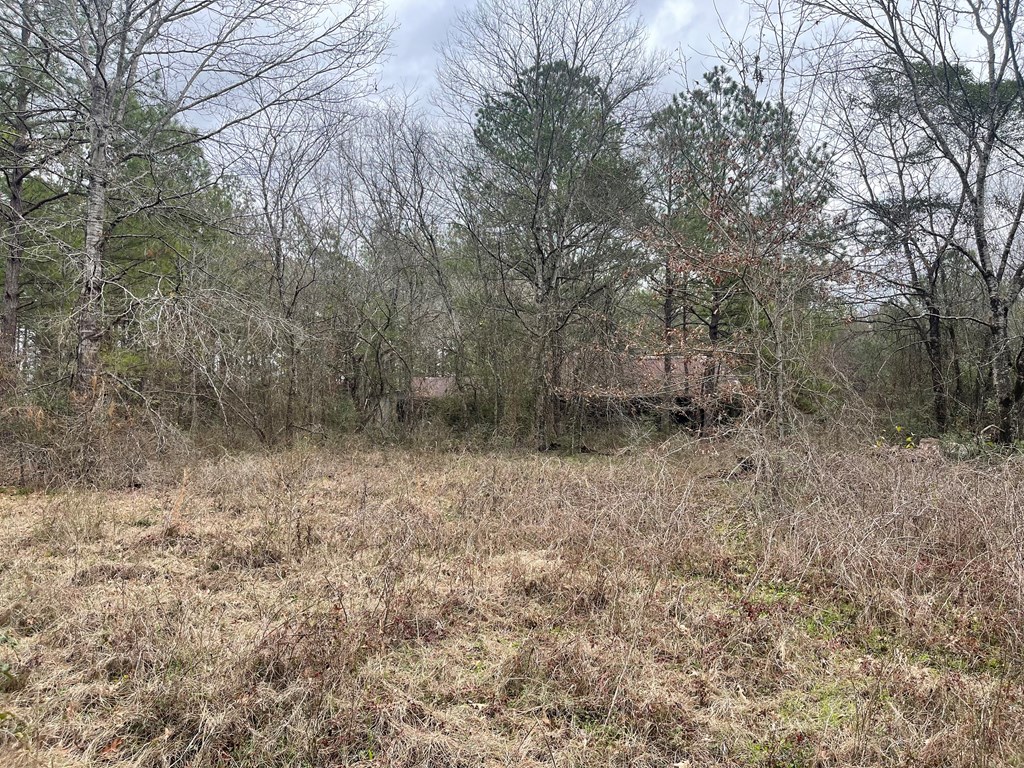 A0181 S Scrub Creek Rd Groveton TX 75845 Yeary Real Estate