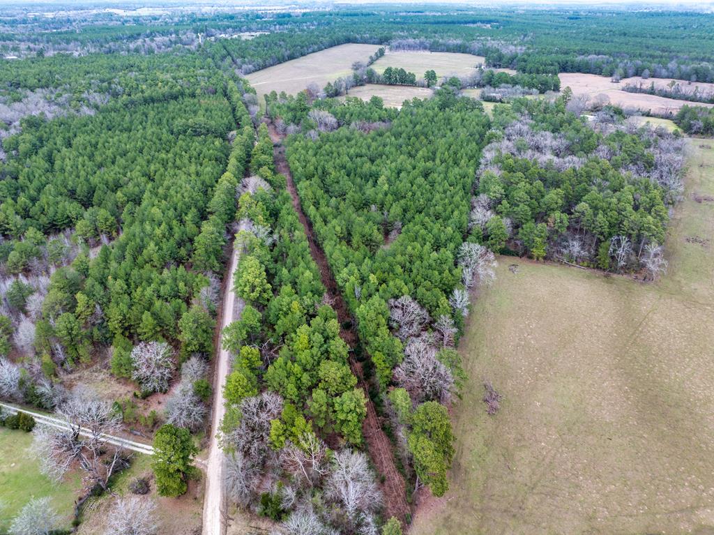 A0181 S Scrub Creek Rd Groveton TX 75845 Yeary Real Estate